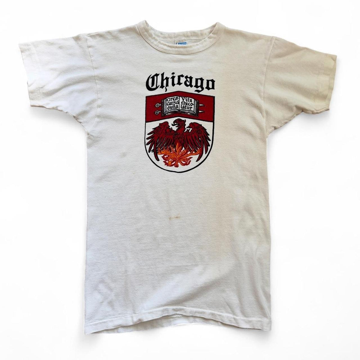 70s Champion University Of Chicago T-Shirt